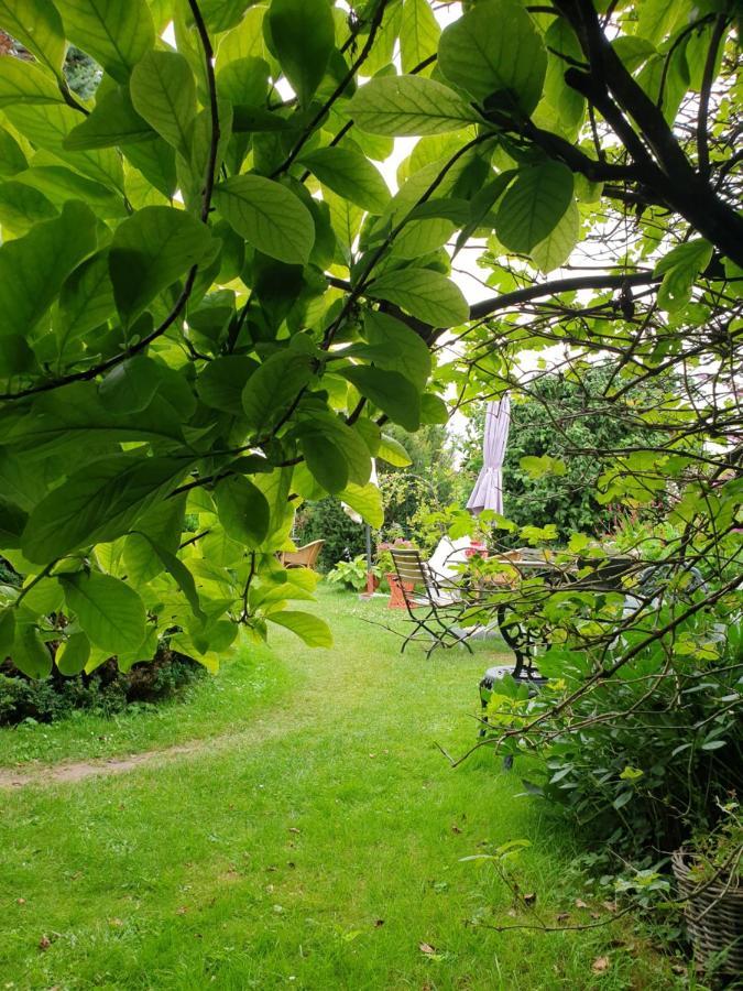 B&B Aan De Limes In Maurik Luaran gambar